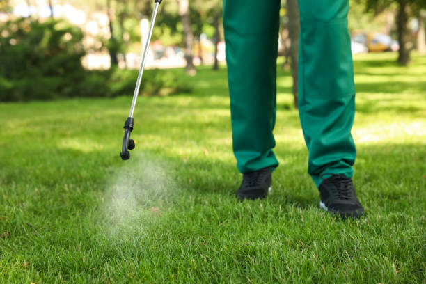 Best Residential Pest Control  in Morrilton, AR