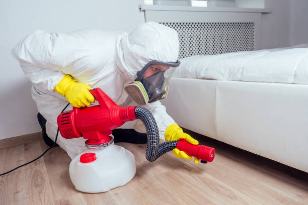 Best Termite Control Services  in Morrilton, AR