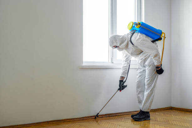 Best Pest Removal Services  in Morrilton, AR