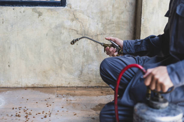 Morrilton, AR Pest Control Company